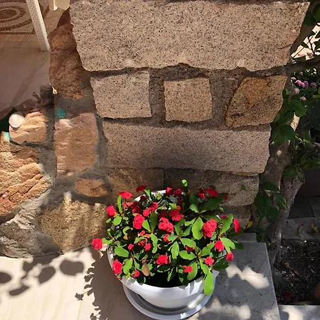 Isola Mia Bed & Breakfast